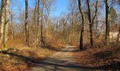 Excursión Senderismo Pierrefonds - en forêt de Compiègne_24_Tournantes sur le Voliard et sur la Fortelle_chaussée Brunehaut - Photo 17