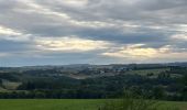 Excursión Paseo ecuestre Neufchâteau - Bois d’Ospot depuis les pompiers - Photo 12