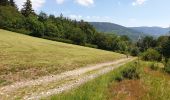 Tour Wandern Weiler - Le massif de la Honel - Photo 8