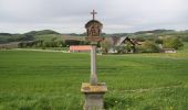 Tocht Te voet Ebersburg - Rhön-Rundweg 1 Ebersburg - Photo 4