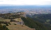 Tour Wandern Léoncel - La Pierre Chauve - Photo 1