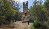 Tour Wandern Vers-Pont-du-Gard - le-pont-du-gard-10km+175m.2024 - Photo 11