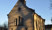 Percorso A piedi Lichtenfels - Rundwanderweg Aussichtsturm-Köstner Gründla - Photo 8