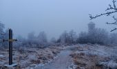 Tocht Stappen Spa - petit tour de la fagne - berinzenne - Photo 5