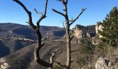 Tour Wandern Saint-Félix-de-l'Héras - Les Fabres - Mas Rouquet - Photo 14