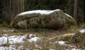 Percorso A piedi Laufamholzer Forst - Hirschenkopf Trail - Photo 7