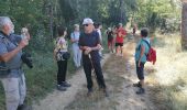 Trail Walking Cintegabelle - Cintegab JP y - Photo 13