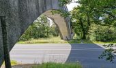 Tocht Stappen Fontainebleau - Fontainebleau sentier Denecourt 9 Est - Photo 19