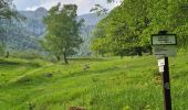 Trail Walking Metzeral - Sentier historique - Mittlach - Fischboedle - Photo 4