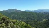 Trail Walking Nyons - Montagne de Vaux - Photo 3