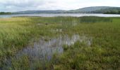 Tocht Te voet Killaloe Municipal District - Cahermurphy Loop Walk - Photo 10