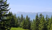 Tour Wandern Crêts-en-Belledonne - LE GRAND ROCHER PAR LE REFUGE DU CRET DU POULET - Photo 10