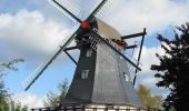 Tour Zu Fuß Tarp - Der Wanderweg entlang der Eulenskulpturen - Photo 9