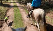 Trail Horseback riding Raon-l'Étape - Yogo Claude tivio kaline - Photo 4