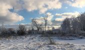 Randonnée Marche Spa - berinzenne entre forêt et fagne  - Photo 11