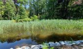 Tour Wandern Fleurus - forêt des loisirs Fleurus - Photo 9