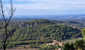 Tour Wandern Venasque - Combes et forêt de Vénasque  - Photo 18