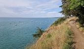 Tocht Stappen Cancale - RA 2023 La pointe du Grouin - Photo 10