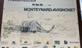 Trail Walking Treffort - Valgo2 - J3. : les passerelles de Monteynard - Photo 11