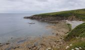 Excursión Senderismo Plogoff - 2019 06 12 Loc'h Baie des Trépassés par Pointe du Raz - Photo 1