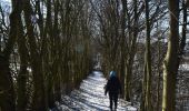 Tour Wandern Thimister-Clermont - Thimister : Balade de la Bettefontaine à la Bèfve - Photo 20