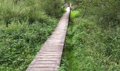 Trail Walking Daverdisse - Porcheresse Grinchi - Photo 4