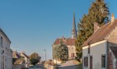 Tour Wandern Saint-Pierre-la-Bruyère - Condé-sur-Huisne - Saint-Pierre-la-Bruyère  via Villeray 8,5 km - Photo 10