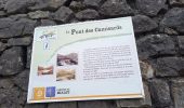 Excursión Senderismo Mialet - Col d'Uglas par Mialet et les Aigladines - Photo 3