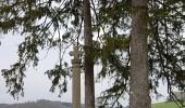 Randonnée Marche Bouxières-aux-Bois - Bouxieres-aux-bois : Le circuit de Virine - Photo 5