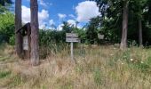 Tour Zu Fuß Sainte-Mesme - Boucle en forêt de Dourdan au départ de Sainte Mesme - Photo 7