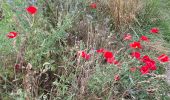 Tour Wandern Eijsden-Margraten - Rijckholt - Photo 18