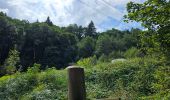 Excursión Senderismo Les Houches - J4 - Les Chavants - Charousse - Vaudagne  - Photo 16