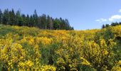 Trail Walking Cambon-et-Salvergues - Haute Vallée de l'Agout - Photo 1