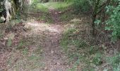 Trail Walking Lierneux - réserve naturelle de Lierneux - Photo 20