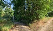 Trail Walking Rognes - Rognes virée dans les vignes sur le sentier des vignerons - Photo 2