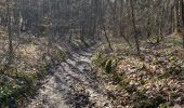 Trail Walking Sillingy - Âge tt à droite - Photo 7