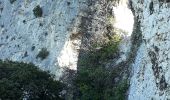 Trail Walking Saint-Rémy-de-Provence - Alpilles  - Photo 3