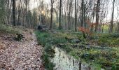 Tour Wandern Maarkedal - Louise-Marie 15 km - Photo 4