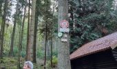 Trail Walking Dambach-la-Ville - ARCA Schulwaldplatz  - Photo 9
