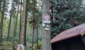 Tour Wandern Dambach - ARCA Schulwaldplatz  - Photo 9