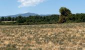 Trail Horseback riding Simiane-la-Rotonde - Provence 2025 J4 - Photo 2