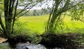 Tour Wandern Sivry-Rance - RANCE (musée du marbre) - Photo 9