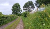 Randonnée Marche Sprimont - plain de fagne . rouge thier . adzeux - Photo 3