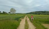 Trail Horseback riding Melsheim - Melsheim griesbach - Photo 3