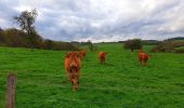 Tour Wandern Beauraing - Balade à Honnay - Beauraing - Photo 13