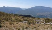 Tour Wandern Castellane - Chasteuil Rougon - Photo 5