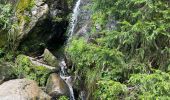 Randonnée  Le Valtin - Sentier des roches frankenthal col de la schlucht - Photo 5