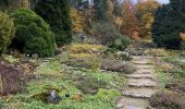 Excursión Senderismo Beersel - Dworp - Parc de Huizingen - Bois de Halle - Photo 14