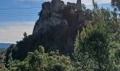 Trail Walking Vins-sur-Caramy - Vins sur Caramy-13-11-2024  - Photo 5