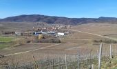 Excursión Senderismo Mittelwihr - Les perles du vignoble  : Mittelwihr - Beblenheim - Zellenberg - Hunawihr - Riquewihr. - Photo 10